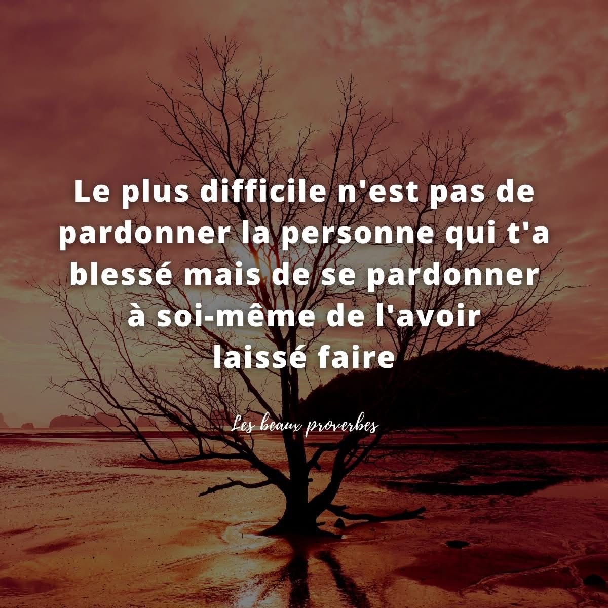 Pardonner, c'est refuser de laisser la blessure contrôler le reste de ta vie