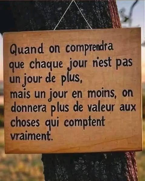 En trois mots, je peux résumer tout ce que j'ai appris sur la vie : la vie continue...