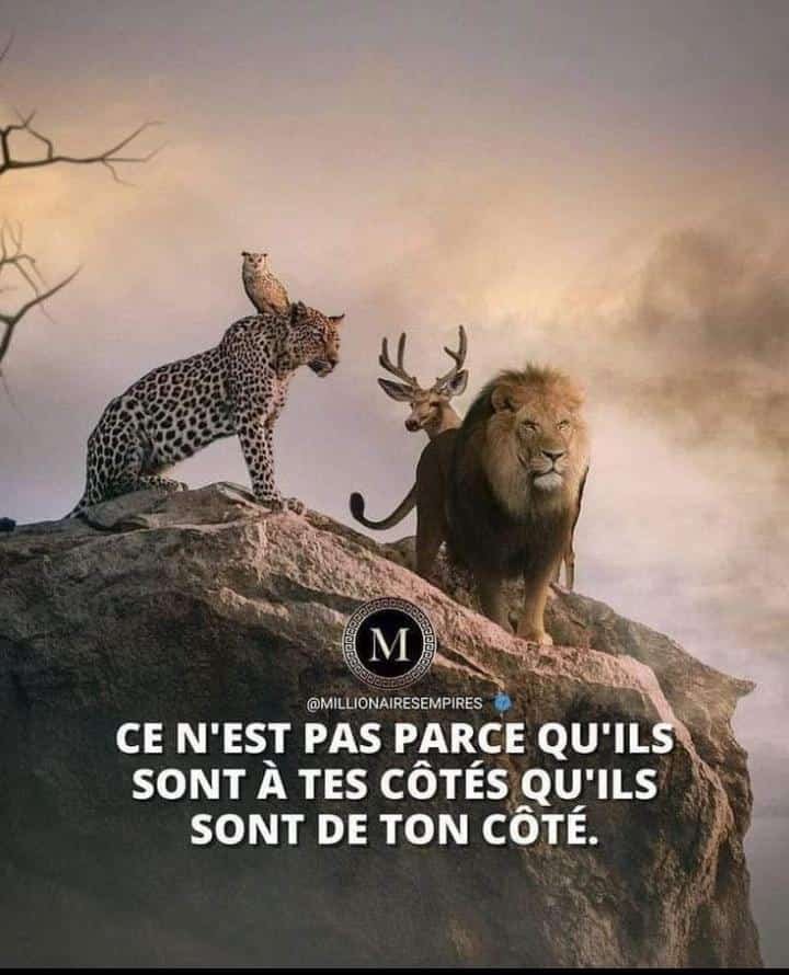 PERSONNE N'EST PARFAIT. ACCEPTES TOI TEL QUE TU ES...SOIS RECONNAISSANT DE LA VIE QUE TU AS..