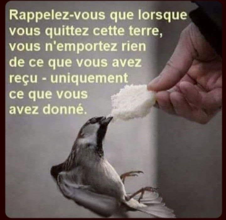 QUI EST MEILLEUR QUE QUI? NOUS SOMMES NÉS SANS RIEN APPORTER ET NOUS MOURRONS AUSSI  SANS RIEN EMPORTER !