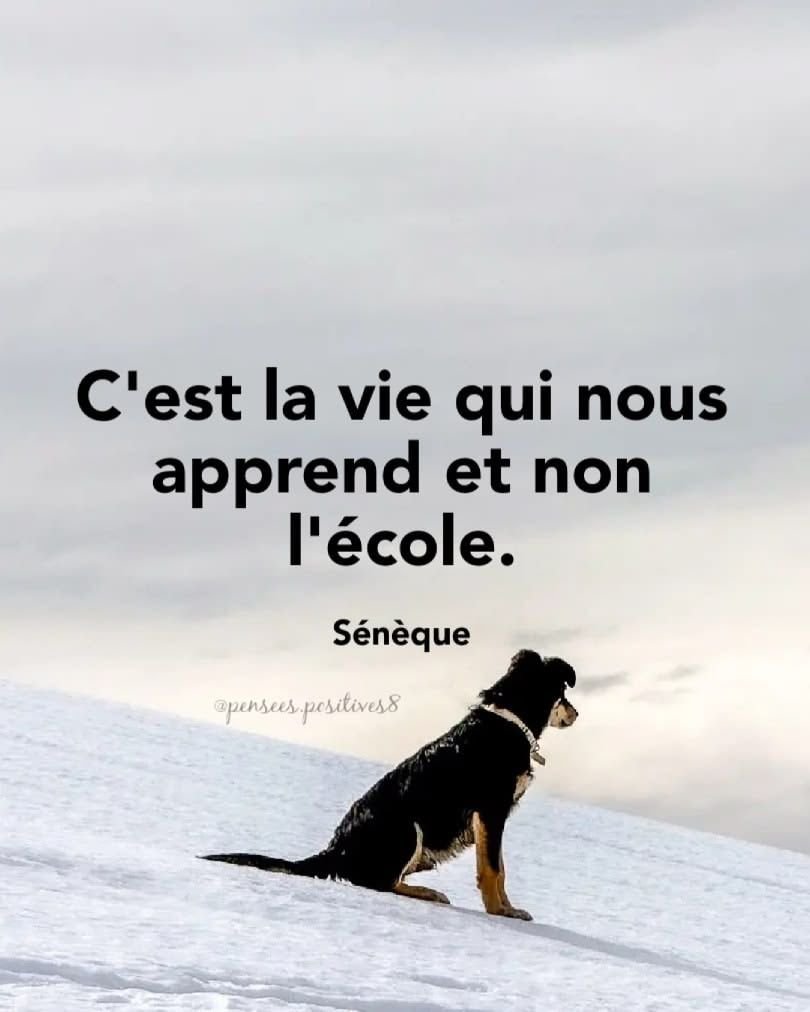 Pour réussir, il faut nécessairement changer de mentalité et de comportement. ON NE SOUHAITE PAS QUELQUE CHOSE DE MEILLEURE, ON LE DEVIENT.
