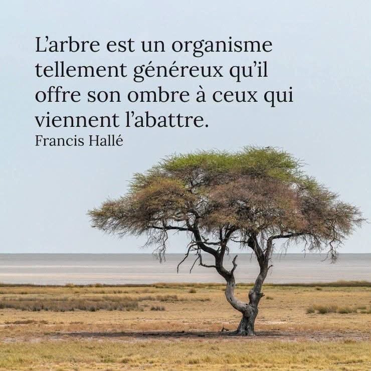 PARFOIS, VOUS AVEZ BESOIN QUE DE MAUVAISES CHOSES SE PRODUISENT DANS VOTRE VIE POUR VOUS INCITER À CHANGER ET À GRANDIR