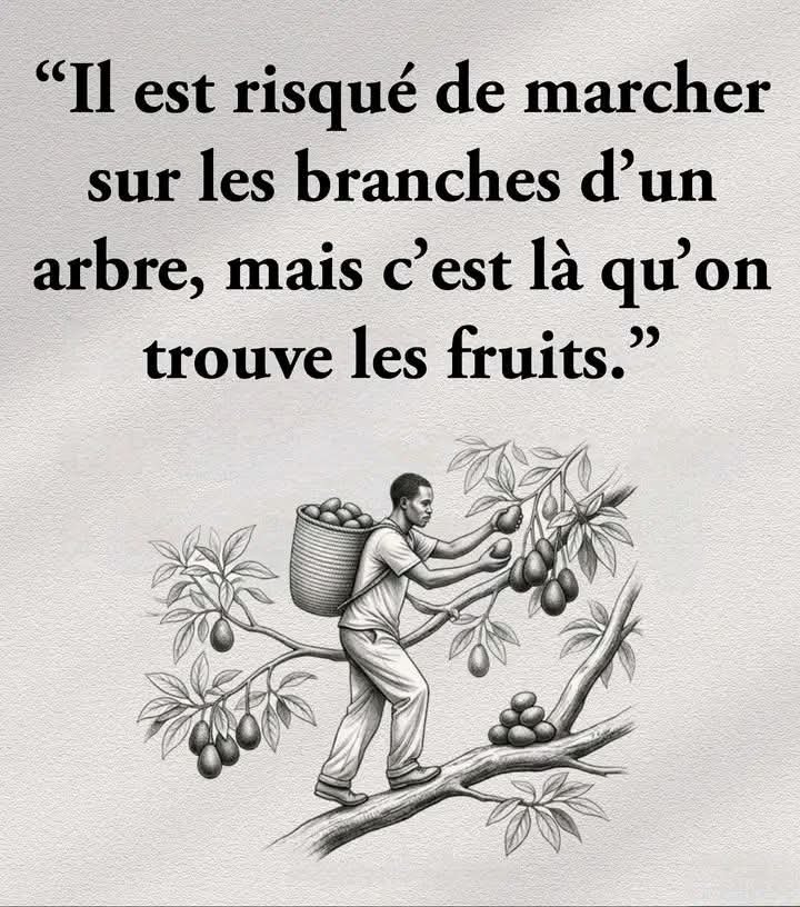 CE N'EST PAS LA TAILLE DU LION QUI FAIT SA FORCE, C'EST L'ESPRIT DU LION DANS SA TAILLE
